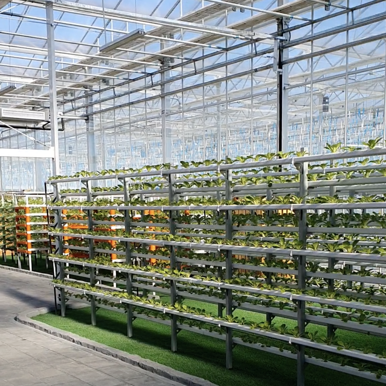 aquaponie-serre-en-Chine-avec-automates-de-régulation-agriware