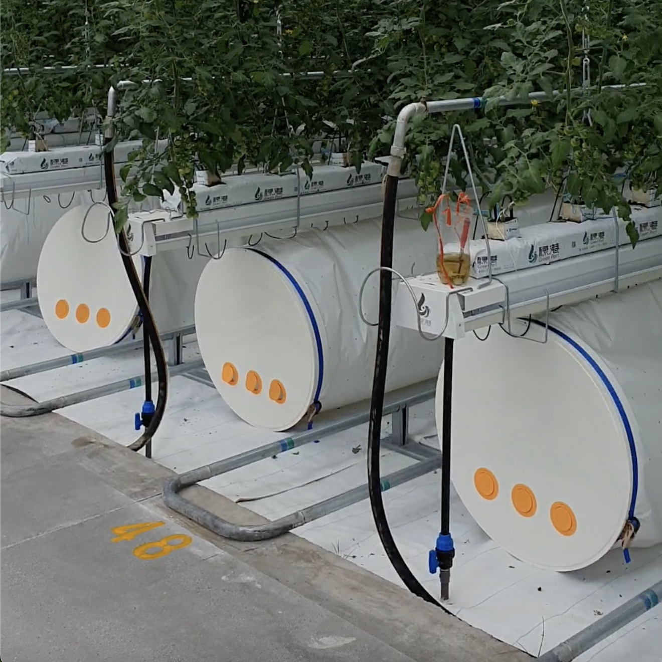 arrosage-serre-en-Chine-avec-automates-de-régulation-agriware